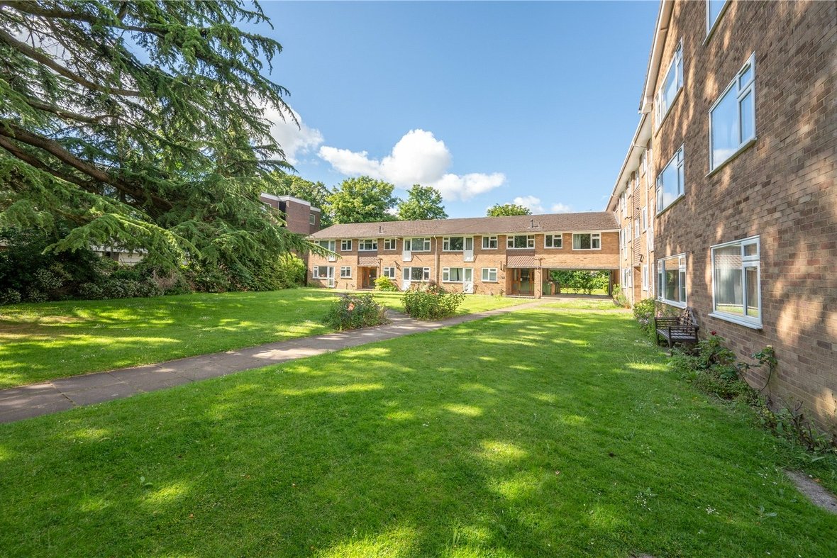 1 Bedroom Apartment LetApartment Let in Cumberland Court, Carlisle Avenue, St. Albans - View 8 - Collinson Hall