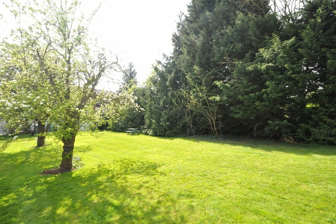 3 Bedroom House To LetHouse To Let in Abbots Park, St. Albans, Hertfordshire - View 15 - Collinson Hall