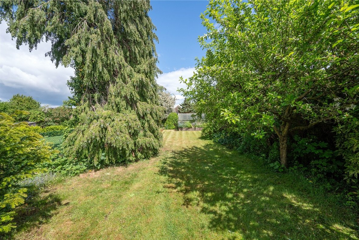 3 Bedroom House New InstructionHouse New Instruction in Seymour Road, St. Albans, Hertfordshire - View 14 - Collinson Hall
