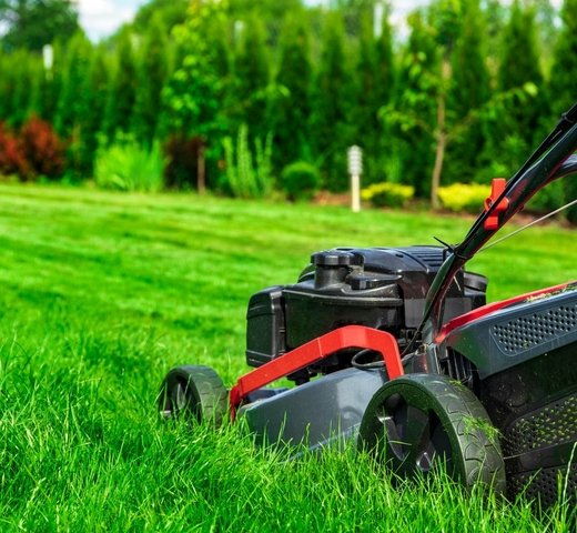 How to make your garden Shine